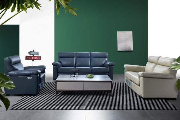 河北進口雙人沙發品牌